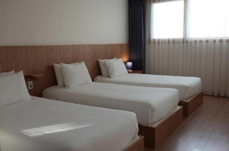 Soldongsan Stay Seogwipo Ngoại thất bức ảnh